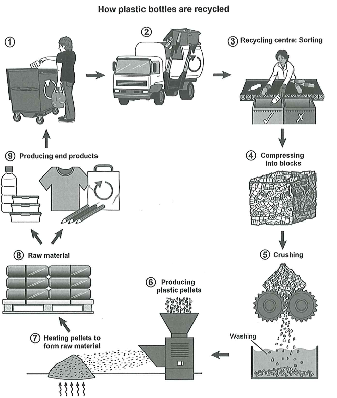 A nine-stage process diagram showing how plastic bottles are recycled: from a consumer placing bottles in a recycling bin, through collection, sorting, compressing, crushing and washing into pellets, to the production of raw material and new end products.