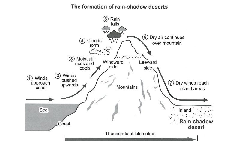 A seven-stage diagram showing how a rain-shadow desert forms: winds carrying moisture approach a coast, are pushed upwards by a mountain range, and the moist air rises and cools on the windward side; clouds then form and rain falls on that side, while the now-dry air continues over the peak and descends the leeward side, so that the dry winds reaching the inland area create a rain-shadow desert.