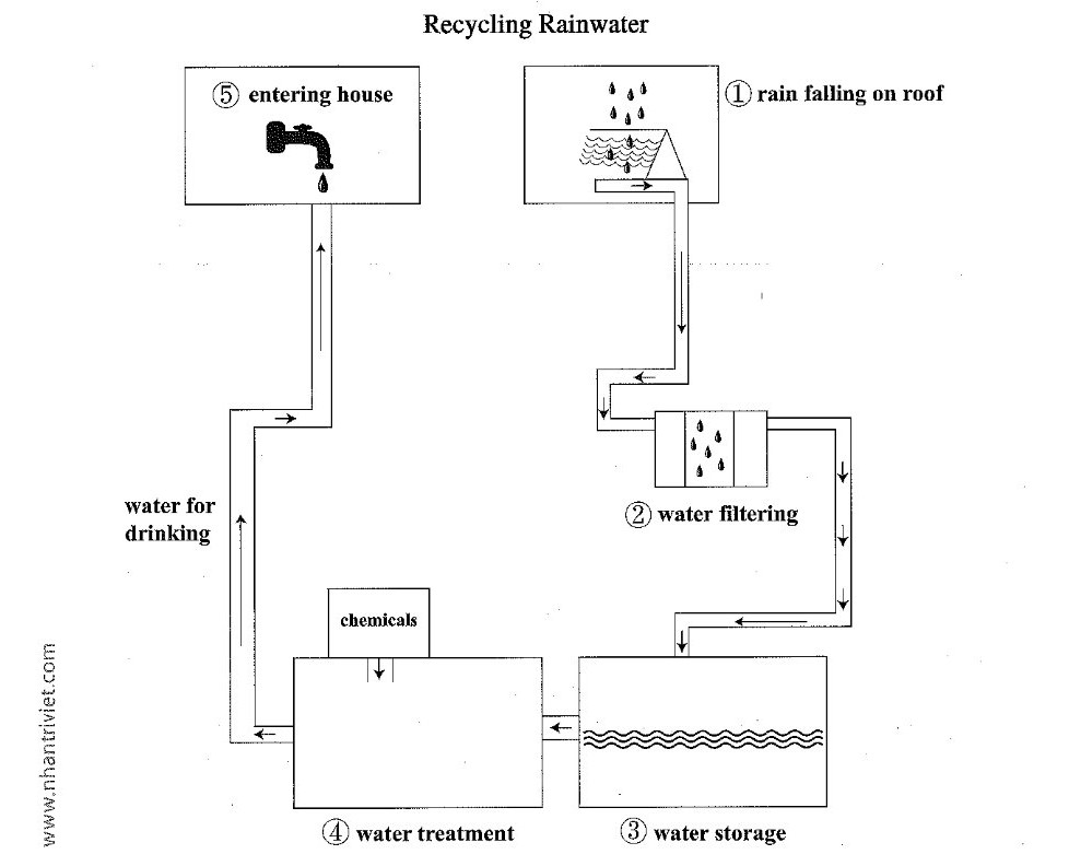 A five-stage process diagram showing how rainwater is recycled for drinking. Rain first falls on the roof of a house and is collected, then passes through a filter to remove debris. The filtered water is held in a storage tank before being sent to a treatment unit, where chemicals are added to purify it. Finally, the treated water is piped back into the house and delivered from a tap as drinking water.